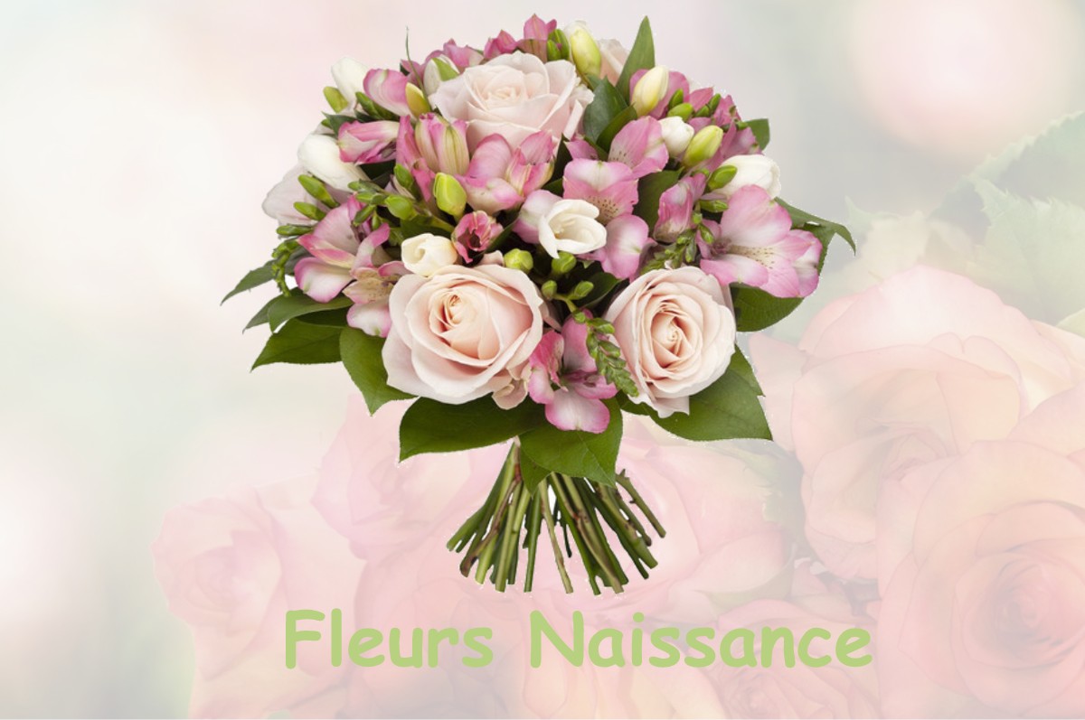 fleurs naissance VILLERS-SAINT-FRAMBOURG