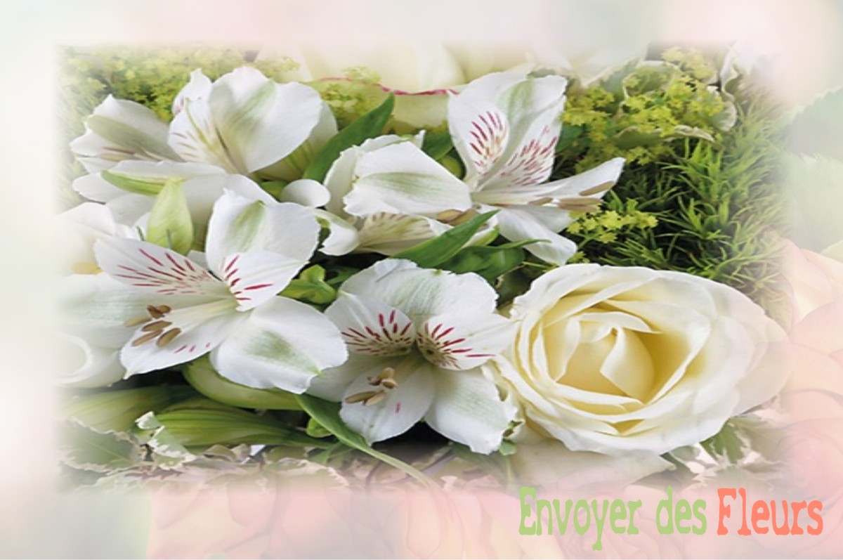 envoyer des fleurs à à VILLERS-SAINT-FRAMBOURG